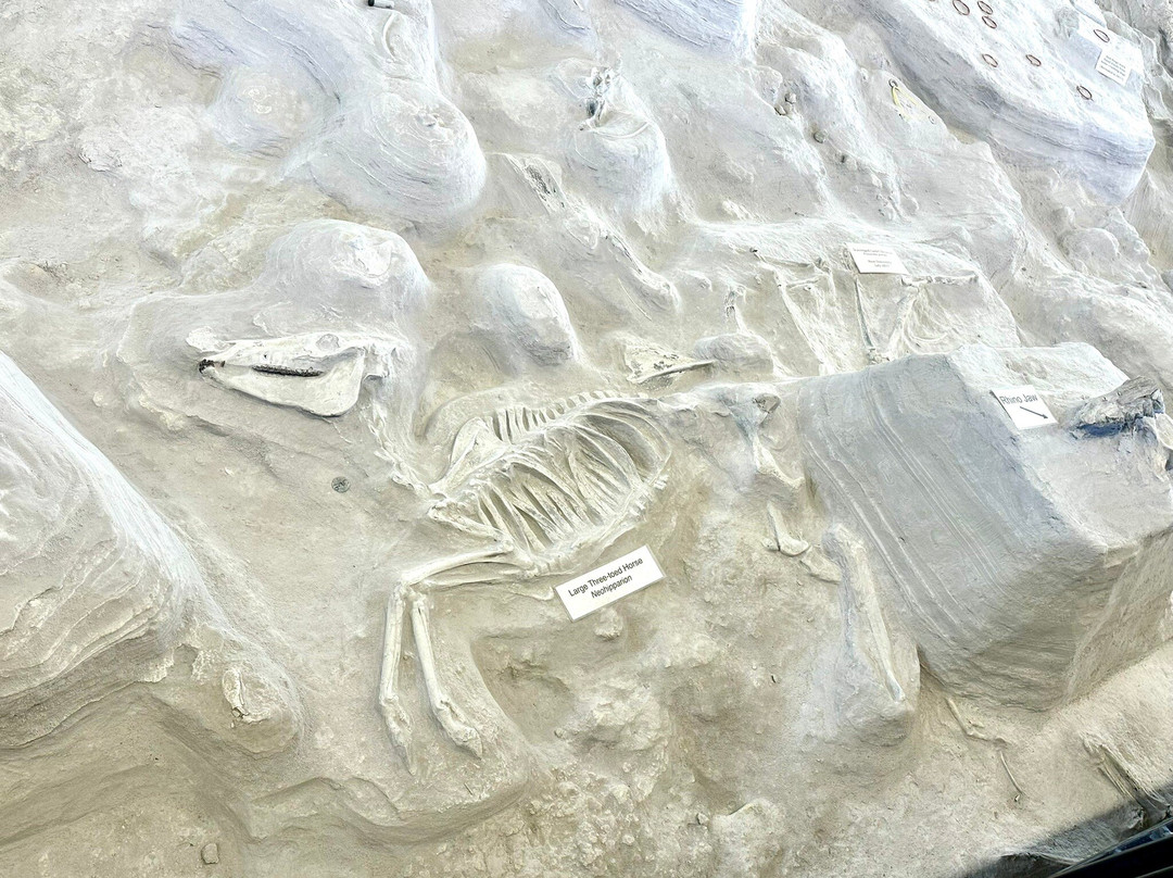 Ashfall Fossil Beds State Historical Park景点图片