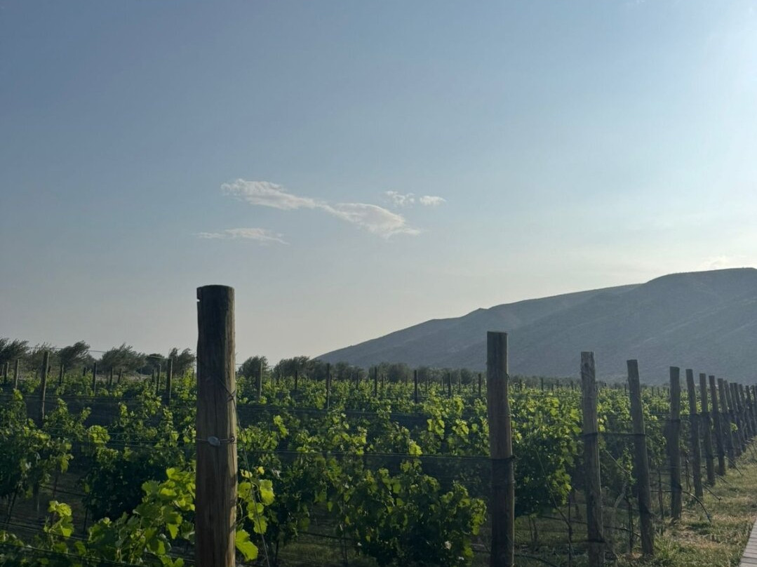 Cuatrocienegas-Cuatro Cienegas必去景点