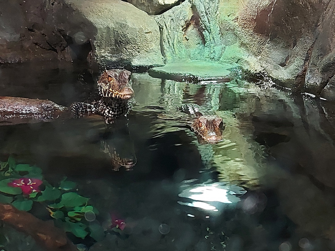 St Andrews Aquarium-圣安德鲁斯必去景点