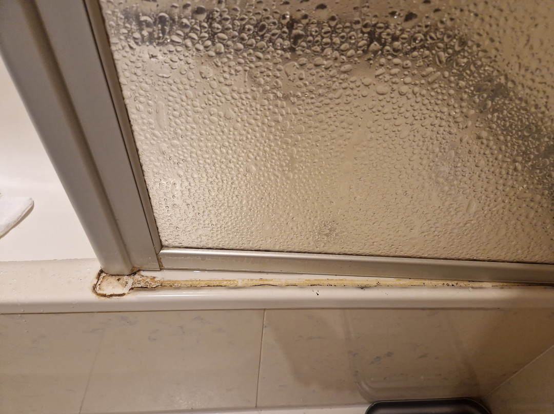 Hotel Zum Ochsen主图