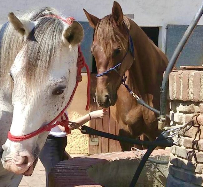 La Brasa De Can Xicota