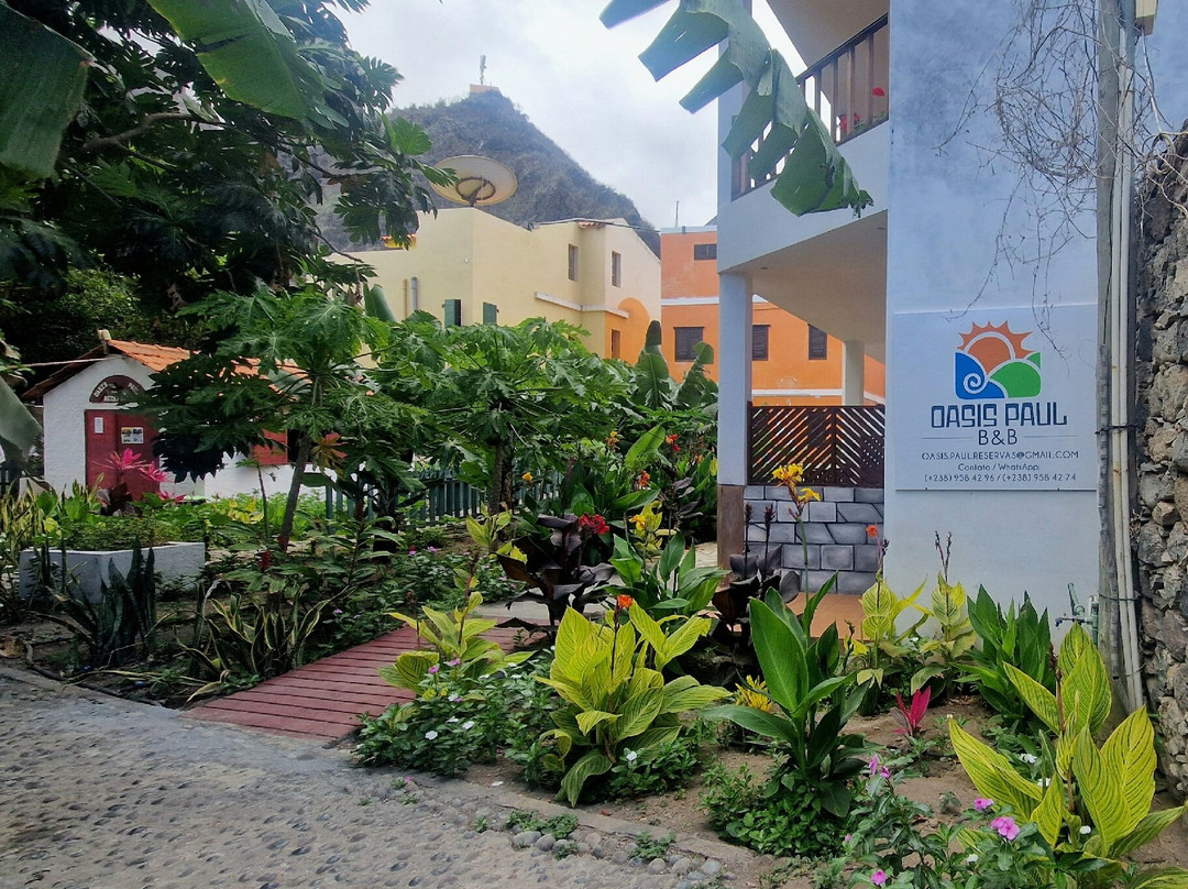 Oasis Paul Residencial主图