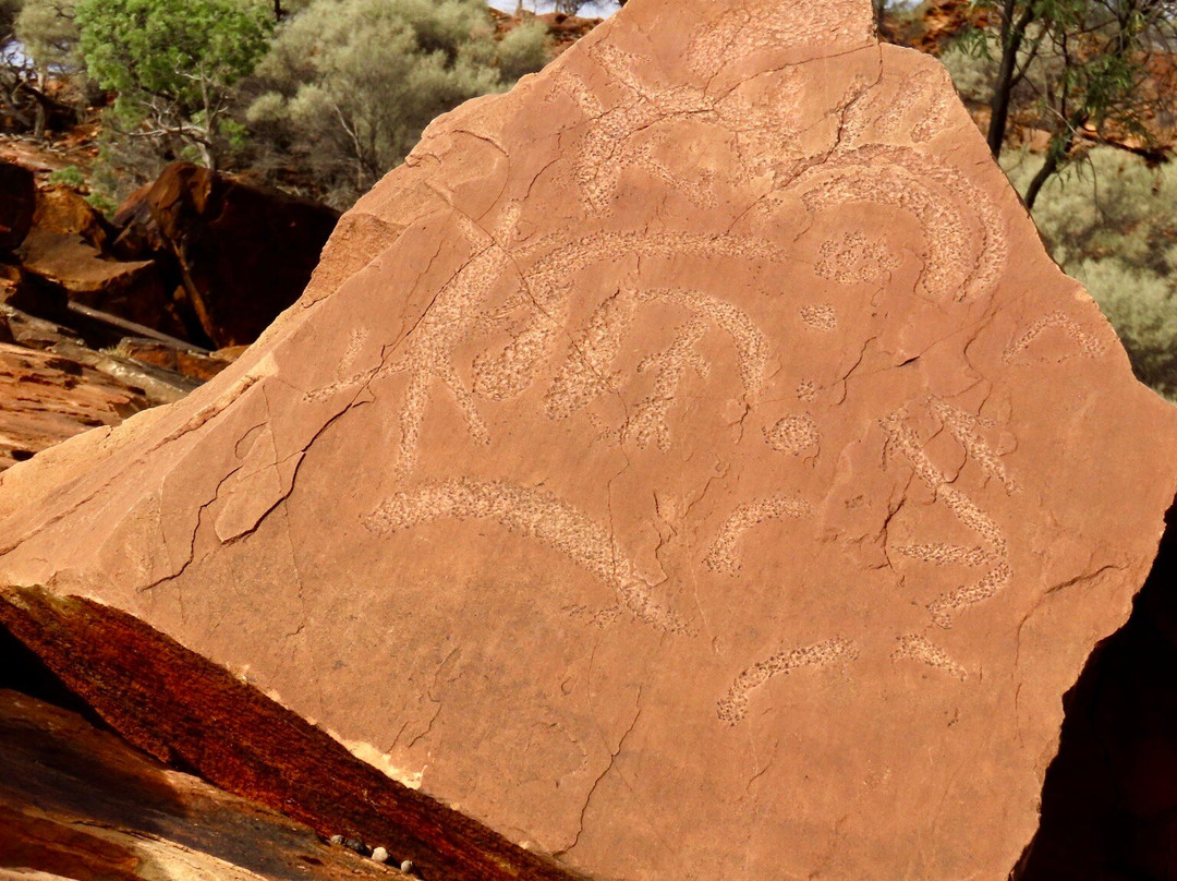Mutawintji National Park景点图片