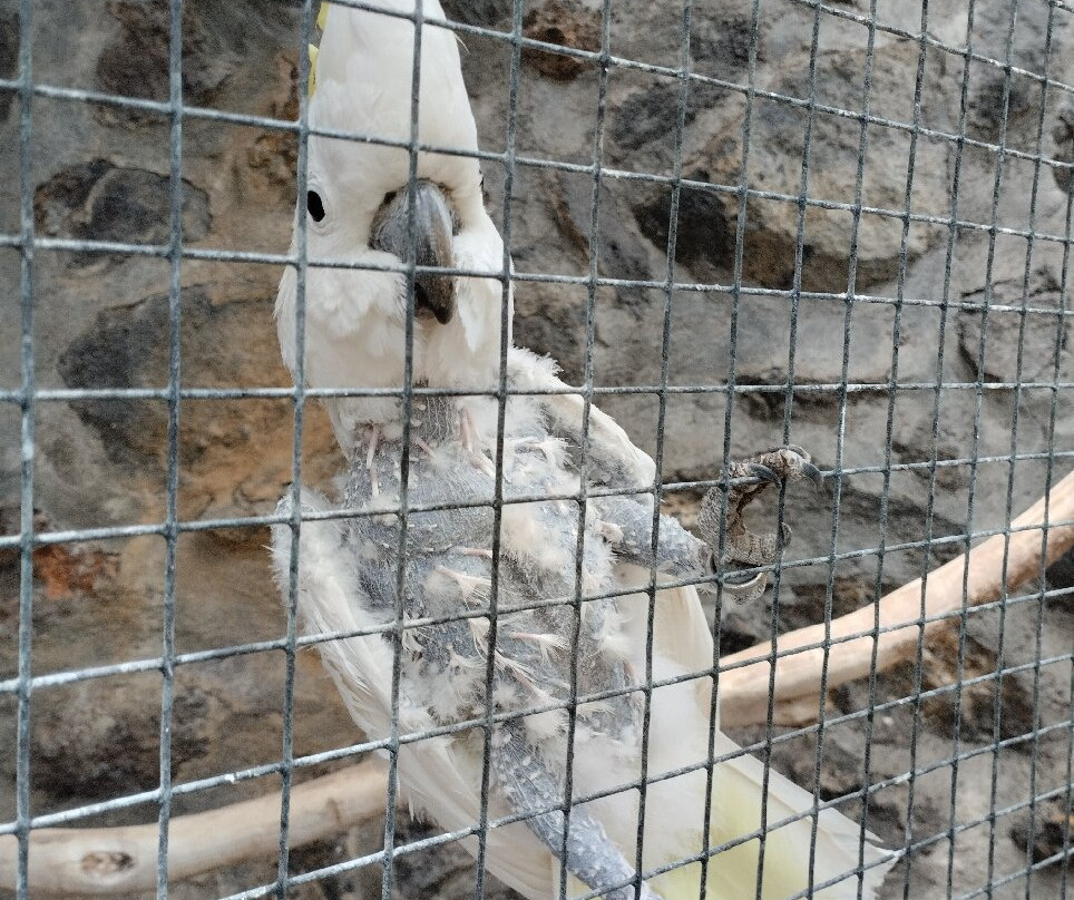 Maroparque Isla de La Palma景点图片