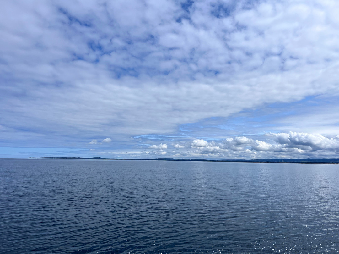 North 58 Sea Adventures景点图片