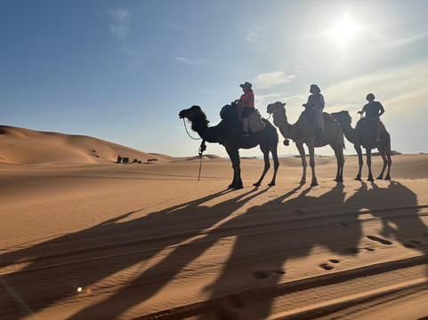 Morocco Top Trips-卡萨布兰卡必去景点