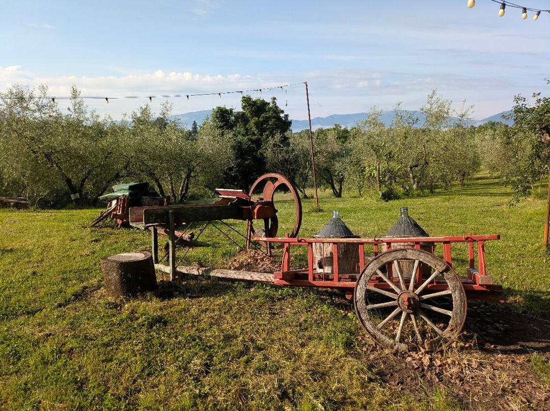 Agriturismo Il Poggio alle Ville主图
