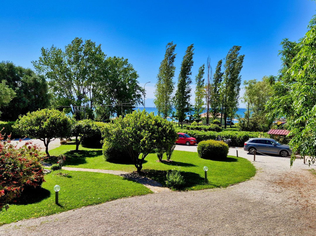 Krio Gelsomare主图