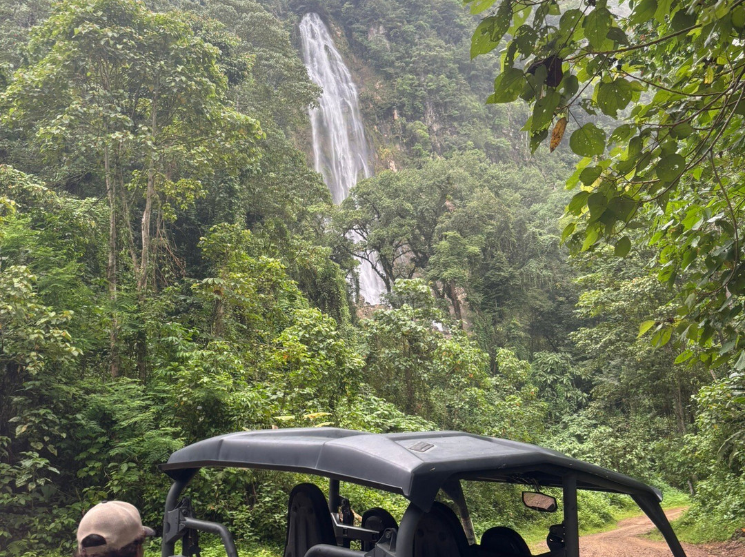 Jungle ATV Quad Tours景点图片