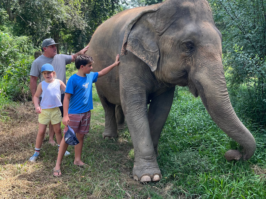 Elephant Haven景点图片