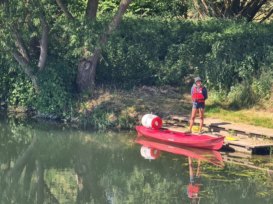 Alsace Canoës景点图片