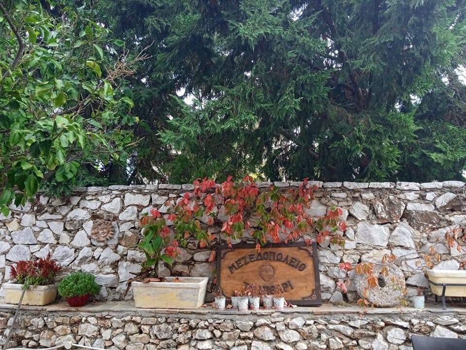 To Pithari - Restaurant - Mani