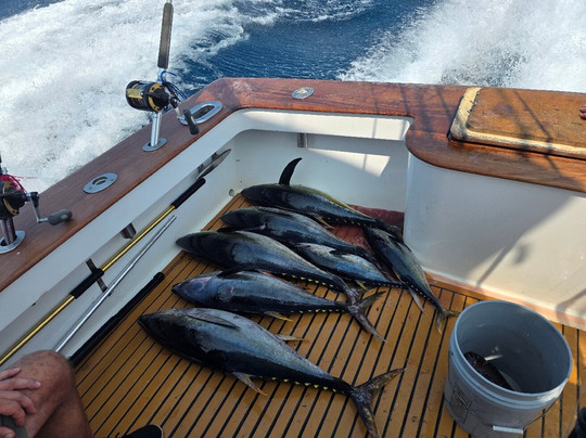 Corolla Bait and Tackle-卡罗拉必去景点