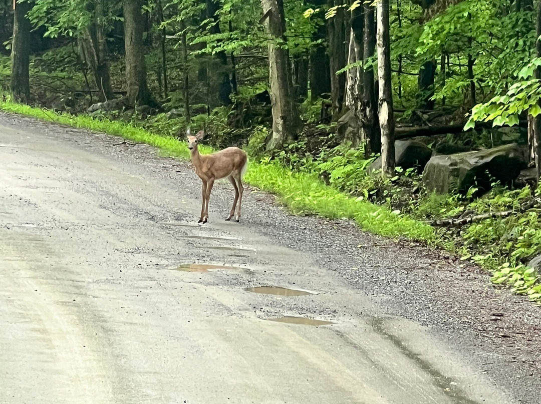 Sleeping Beauty Mountain-Fort Ann必去景点