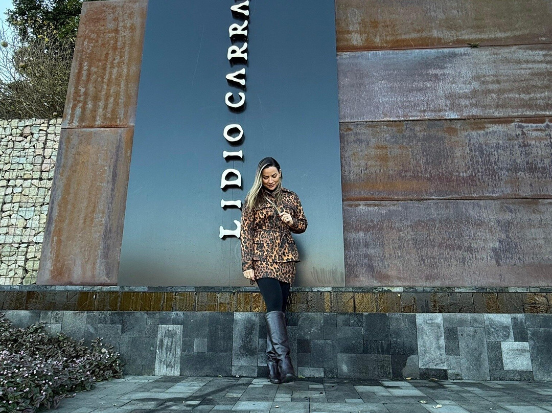 Lidio Carraro Vinícola Boutique景点图片