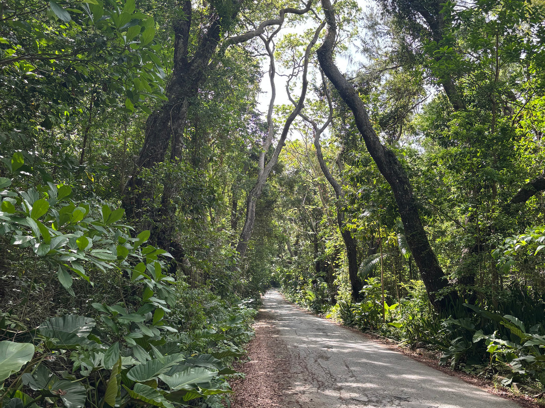 Walkers Reserve-布里奇顿必去景点