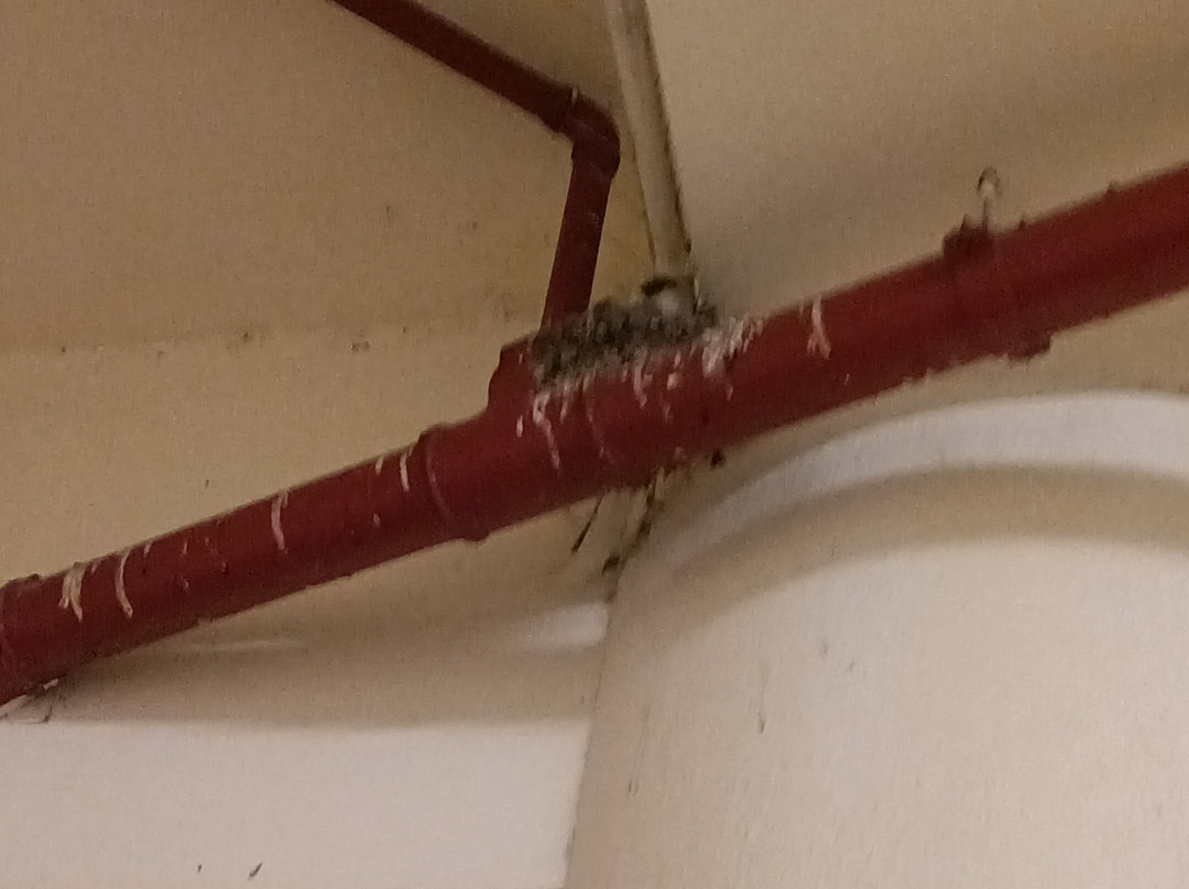 San Severino Park Hotel & Spa主图