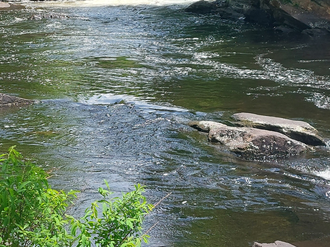 Oxtongue River-Ragged Falls Provincial Park-Dwight必去景点