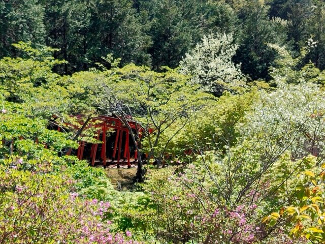 Oka Inari Shrine-西胁市必去景点