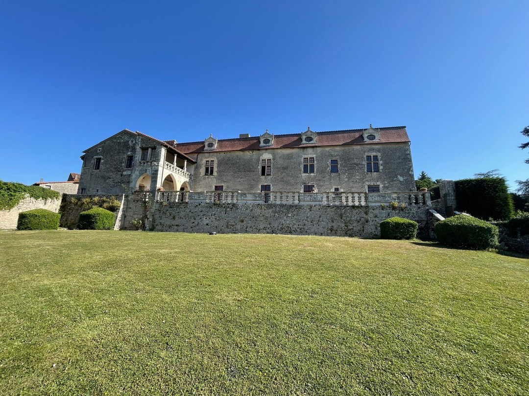 Château De Cibioux主图