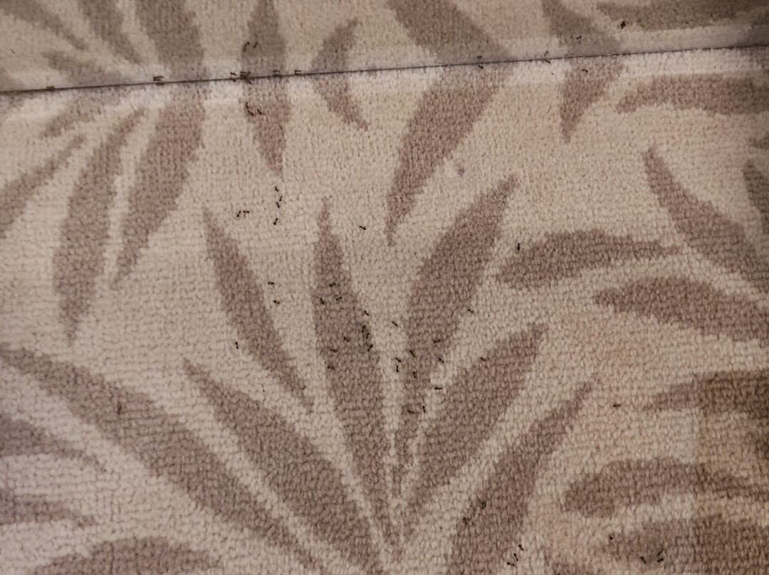Grand Hotel Sava Superior主图