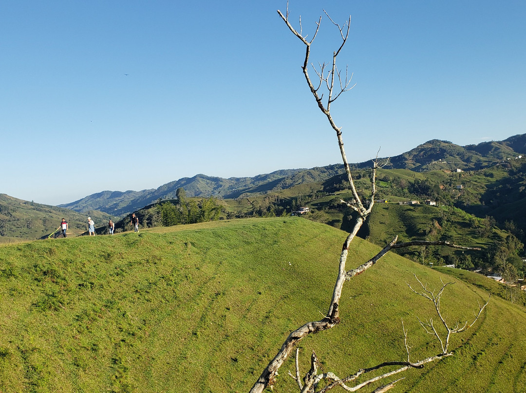 Iglesia La Inmaculada De Concepción-Concepción必去景点