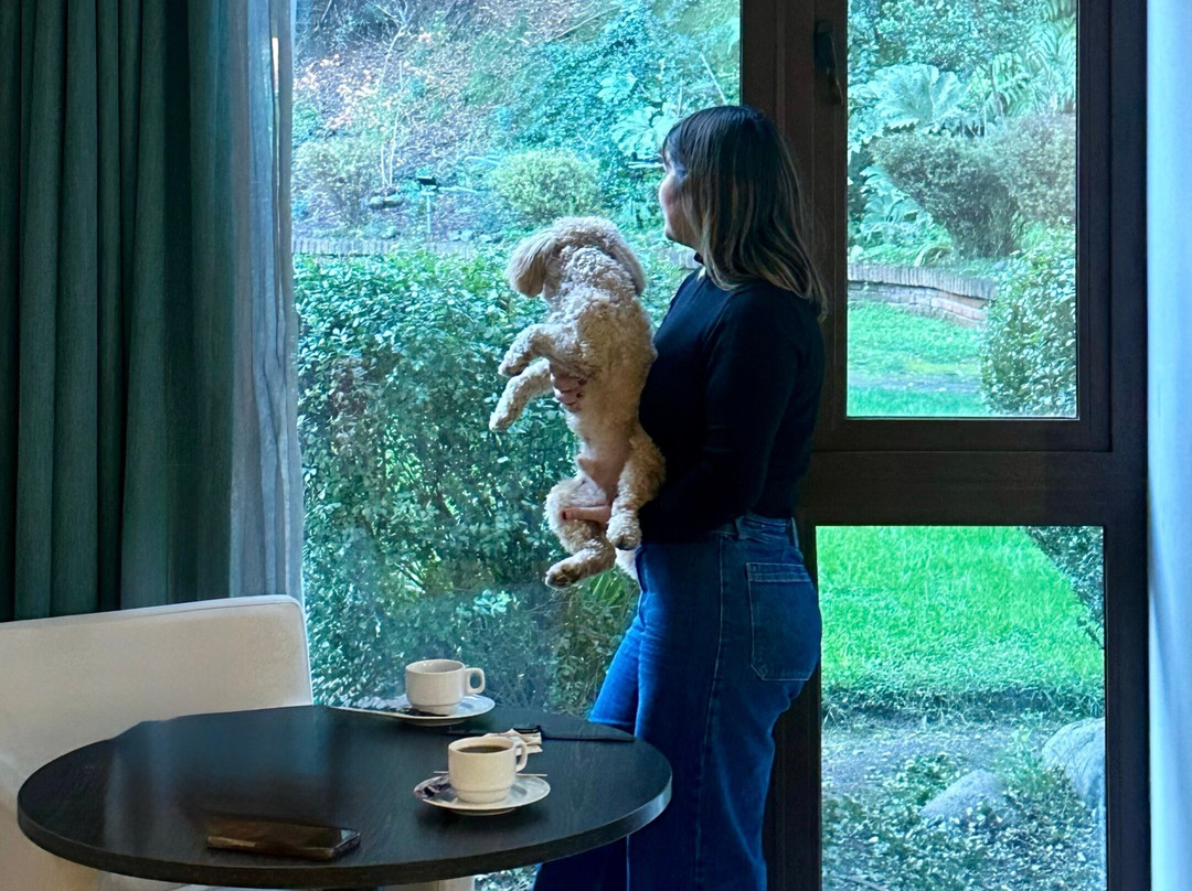 会议城酒店主图