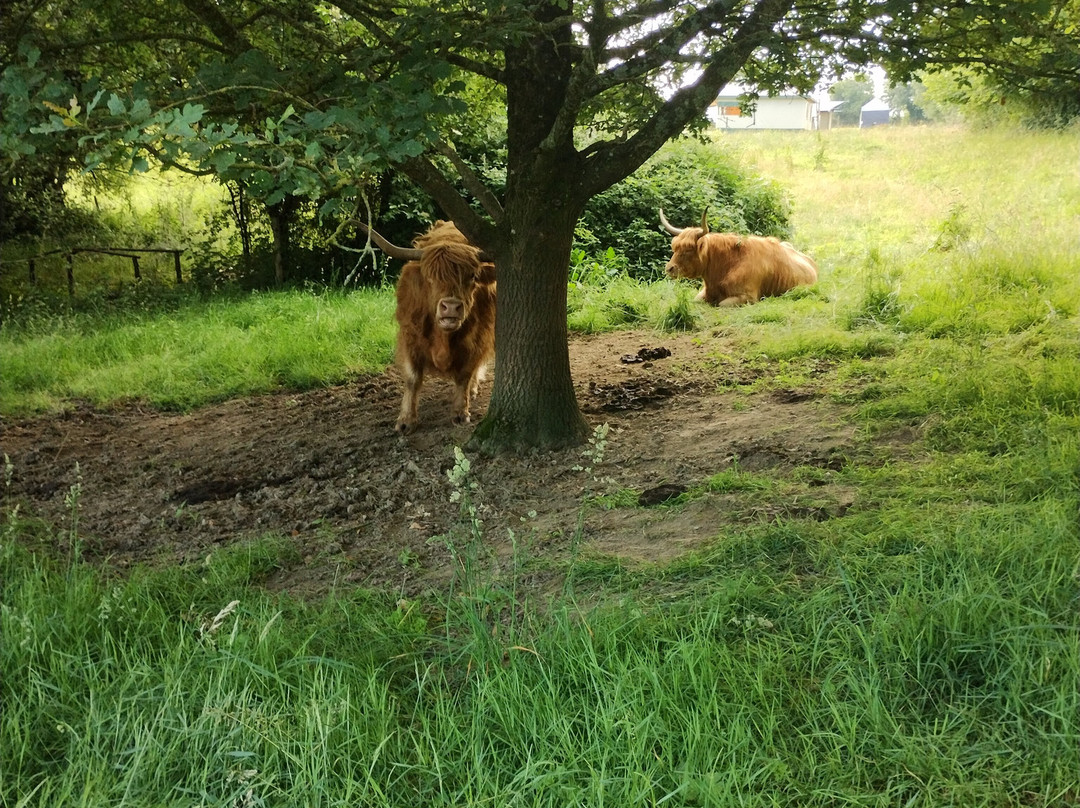 La Libaudière主图
