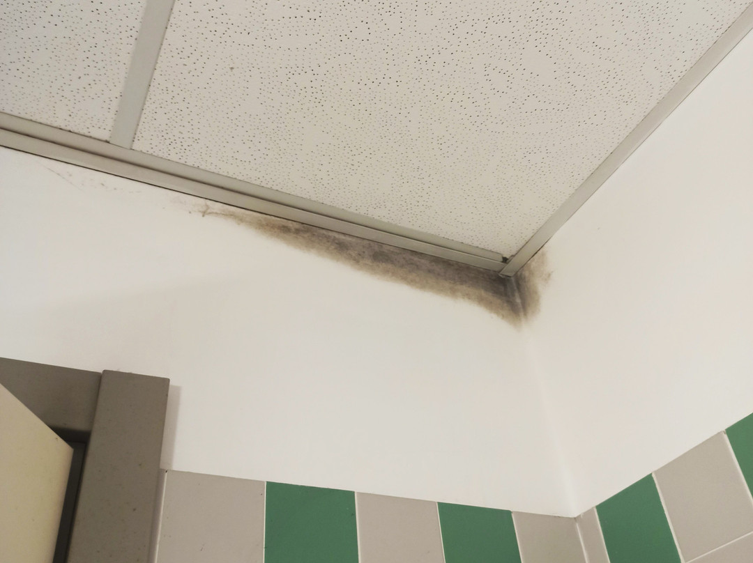 Europa Palace Hotel主图