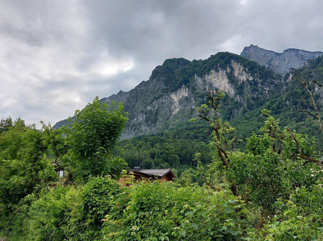 Hotel Sallerhof主图