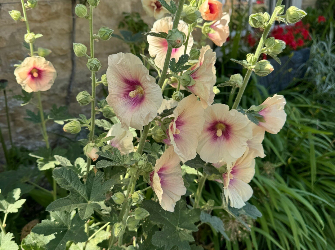 Cotswolds Electric Bike Tours-奇平卡姆登必去景点