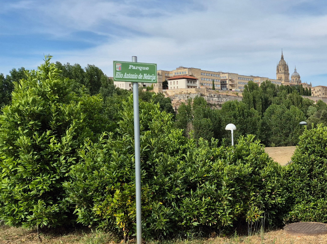 萨拉曼卡城维基酒店主图