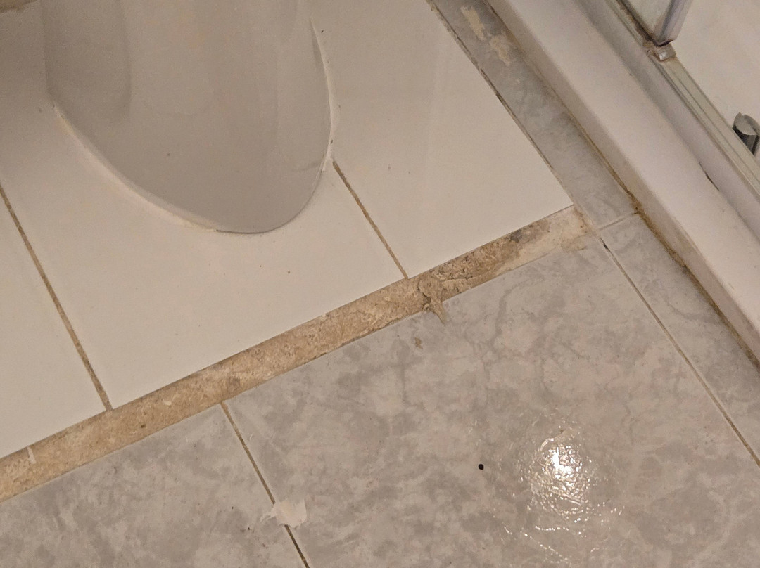 Hostal San Francisco主图