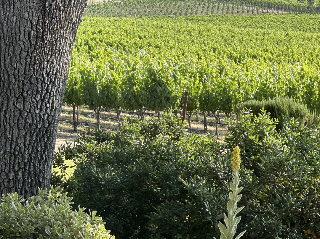 Summerwood Winery & Inn主图