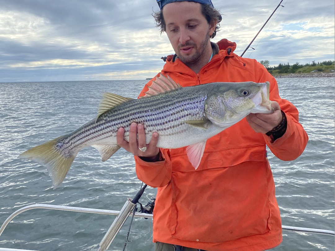 Rats de Marées - Guide de pêche sportive en mer au Bar rayé