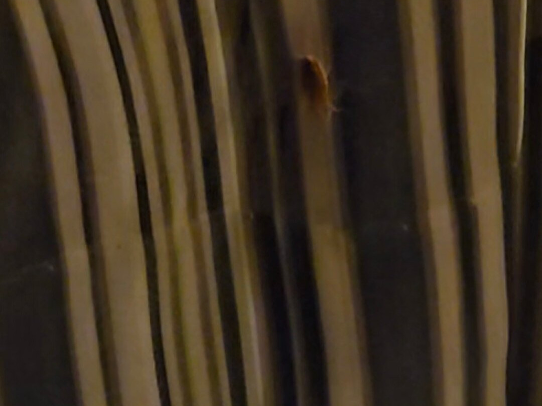 La Quinta Inn & Suites by Wyndham Baltimore N / White Marsh主图