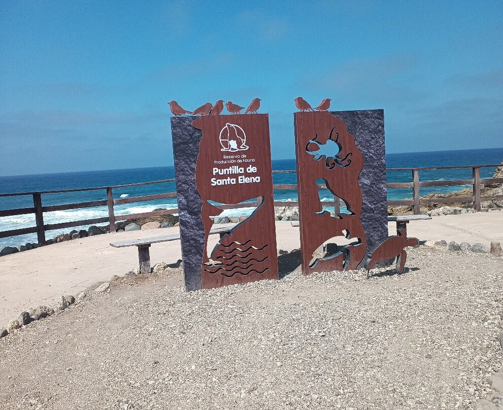 La Lobería-萨利纳斯必去景点