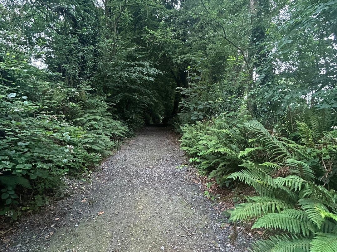 Secret Valley Wildlife Park-韦克斯福德必去景点