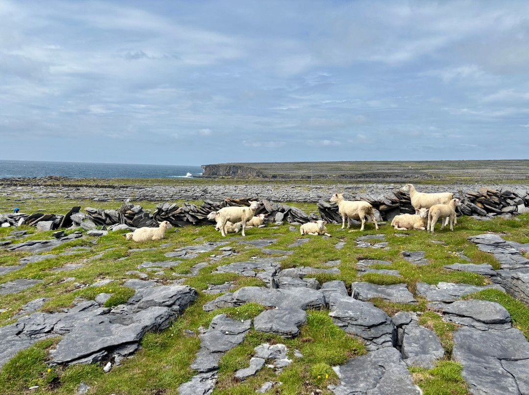 Dun Duchathair-Inishmore必去景点