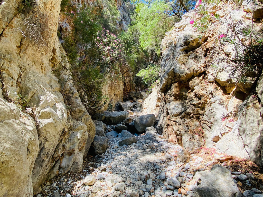 Kritsa Gorge-Kritsa必去景点