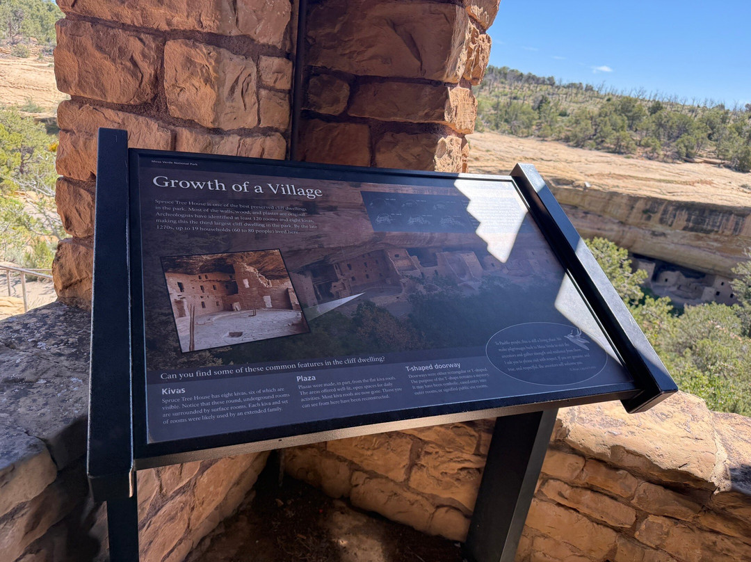 Spruce Tree House-梅萨维德国家公园必去景点