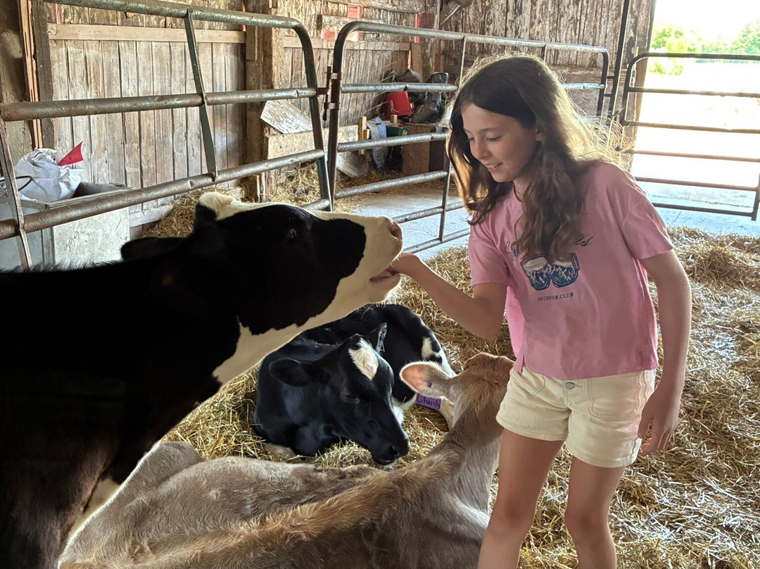 Sunset View Creamery-Odessa必去景点