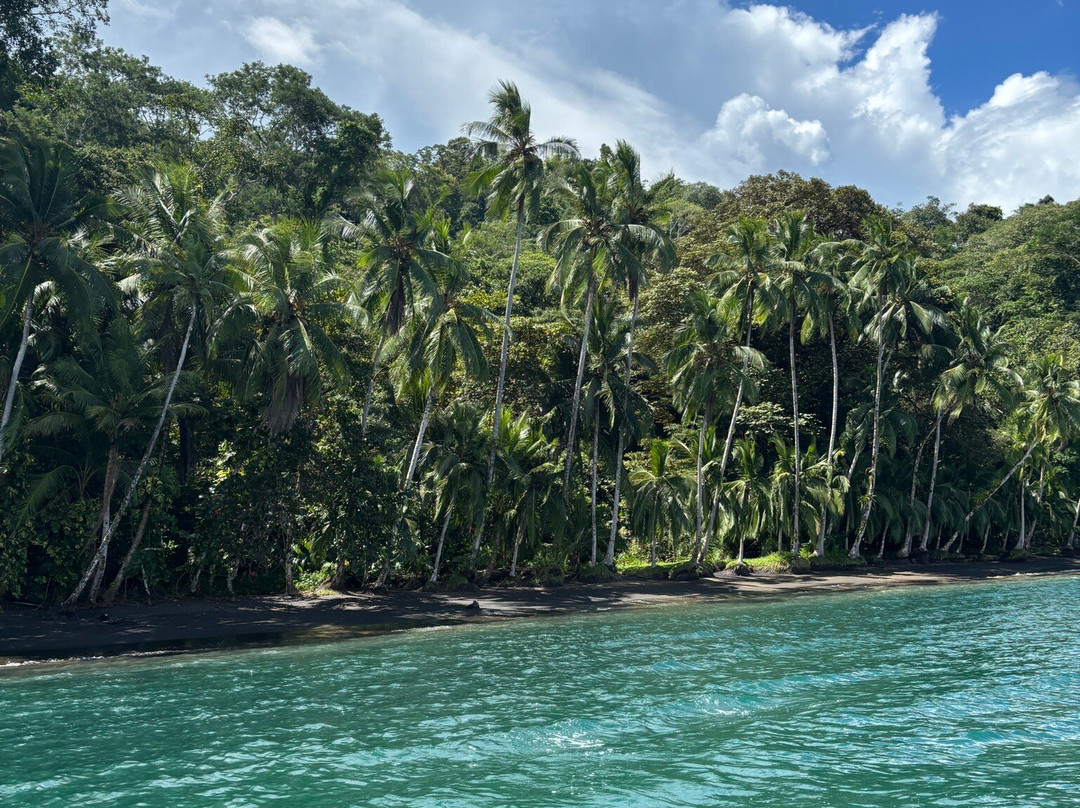 Golfo Dulce Exploradores-Playa Blanca必去景点