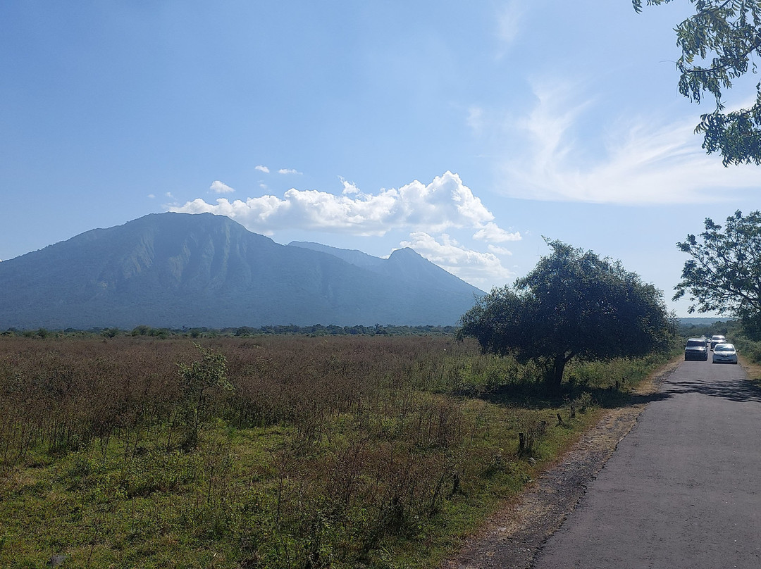 Yukbanyuwangi-巴纽旺宣必去景点
