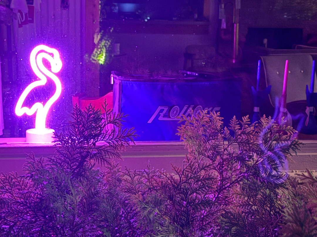 The Saugatuck Retro Resort Motel主图