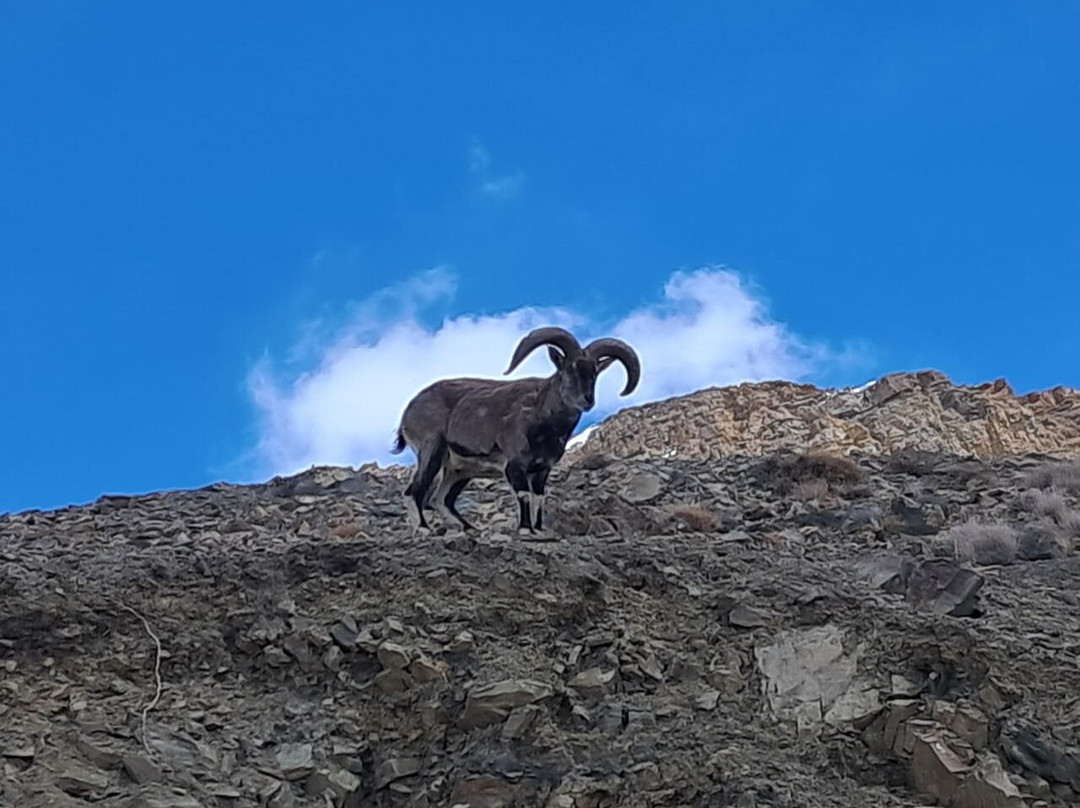 Spiti Valley-喜马偕尔邦必去景点