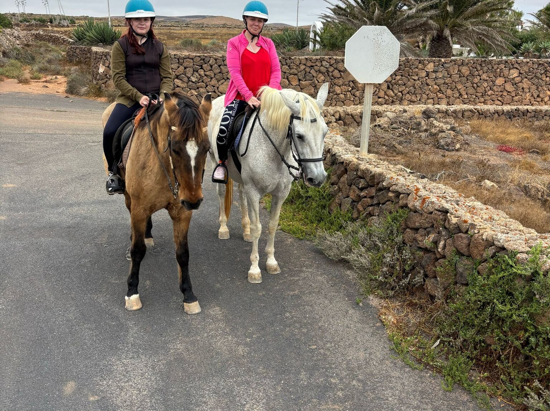 Horses Lanzarote-Teseguite必去景点