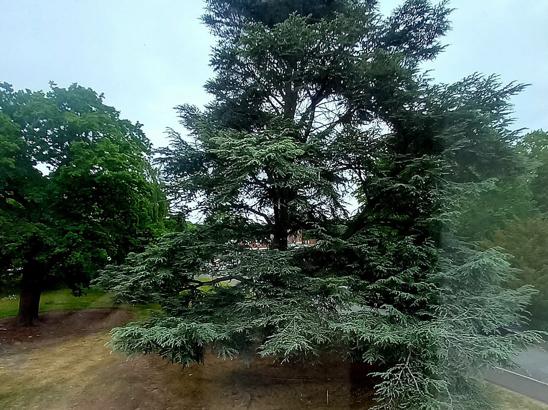 Bethlem Museum of the Mind-贝肯汉姆必去景点