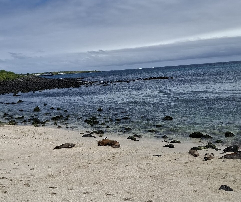 Playa Punta Carola-圣克里斯托瓦尔必去景点