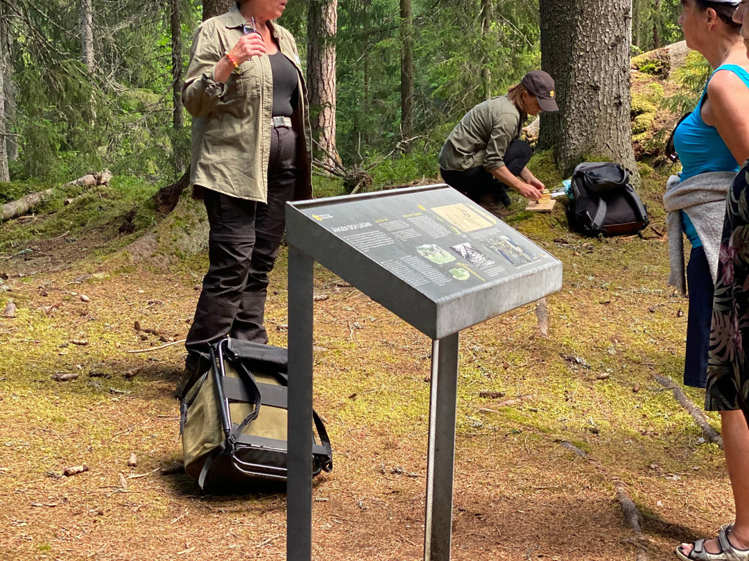 Experience Norra Kvill National Park-Vimmerby必去景点